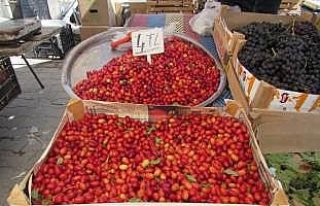 Ladik'te kızılcık satışı