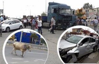 ŞANS ESERİ FACİADAN DÖNÜLDÜ