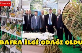 Bafra ilgi odağı oldu