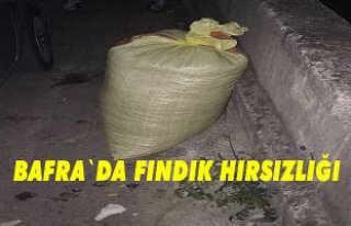 Bafra`da hırsızlık