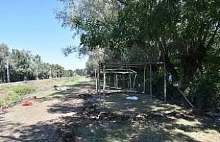 Çadırdaki tarım işçilerine saçma isabet etti