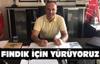 Fındık için yürüyoruz