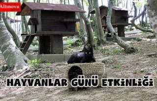 4 EKİM’DE KEDİ KASABASI’NDA BULUŞALIM
