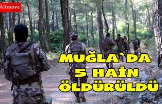 5 TERÖRİST ÖLDÜRÜLDÜ
