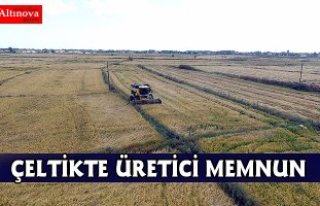 Çeltikte verim ve fiyat üreticisinin yüzünü güldürüyor
