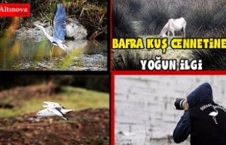 FOTO SAFARİYE BÜYÜK İLGİ
