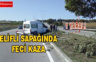 Lastiği patlayan minibüs elektrik direğine çarptı