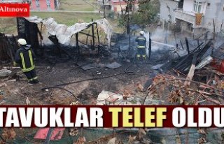 Samsun'da kümes yangını