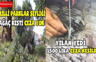 Yılan yiyerek paylaşana bin 500 Türk lirası ceza