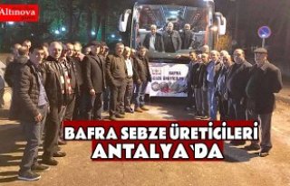 Bafra Sebze Üreticileri Antalya'da