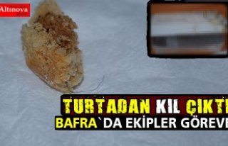 Bafra`da unlu mamulden kıl çıktı