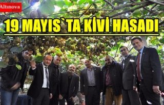 TARIM CENNETİNDE KİVİ HASADI