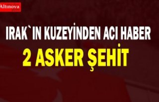 TSK: Irak'ın kuzeyindeki operasyonda 2 asker...