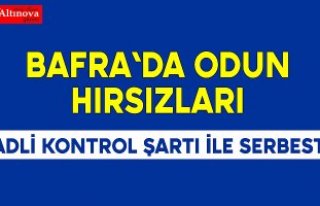 Bafra`da hırsızlık zanlıları serbest
