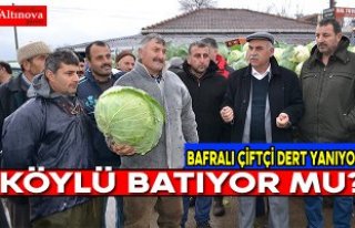 Bafralı çiftçi dert yanıyor
