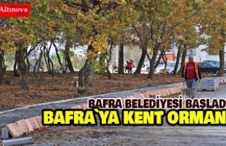 BAŞKAN ŞAHİN: SOSYAL HAYATIMIZA DOĞANIN İMZASINI...