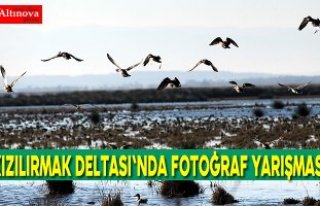 Kızılırmak Deltası'nda fotoğraf yarışması