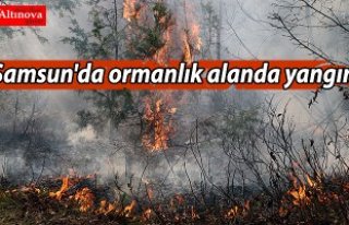 Samsun'da ormanlık alanda yangın