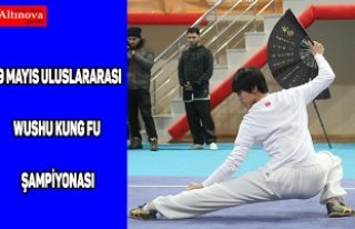 19 Mayıs Uluslararası Wushu Kung Fu Şampiyonası