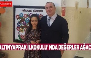 ALTINYAPRAK İLKOKULU' NDA DEĞERLER AĞACI