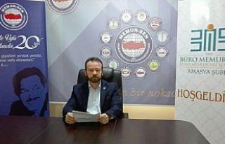 Amasya'da Zeytin Dalı Harekatı'na destek