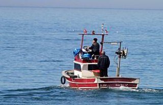 Batı Karadeniz'de balık kıtlığı