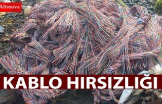 Samsun'da kablo hırsızlığı iddiası
