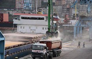 Trabzon Limanı'ndan yılda 1 milyon ton hububat gönderiliyor