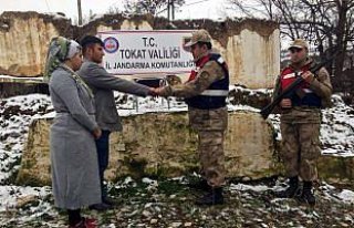 Turhal'da hırsızlık zanlıları yakalandı