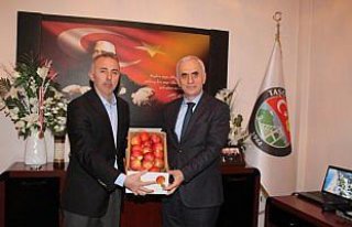 AK Parti Genel Başkan Yardımcısı Kaya'dan ziyaret