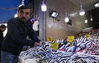 Balık fiyatları yüzleri güldürdü