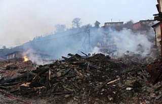 GÜNCELLEME 2 - Kastamonu'da yangın