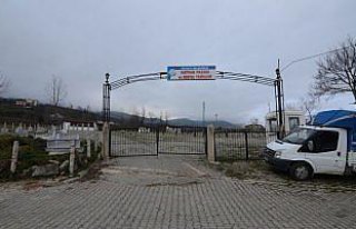 Ordu'da şap hastalığına karşı önlem