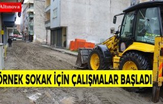 Örnek Sokak İçin Çalışmalar Başladı
