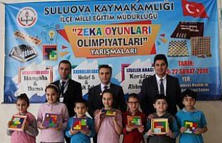 Suluova'da Zeka Oyunları Olimpiyatları