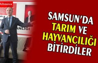 AKCAGÖZ: “SAMSUN’DA TARIM VE HAYVANCILIĞI BİTİRDİLER”