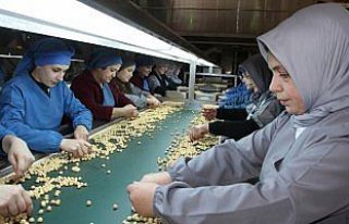 FİSKOBİRLİK'in gözü dünya pazarında