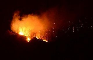 Giresun'da orman yangınları