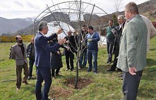 Gümüşhane'de çiftçilere budama eğitimi