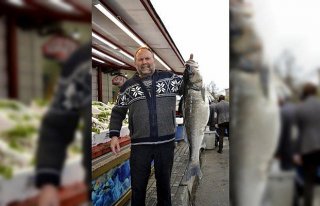 Karadeniz'de 10 kiloluk levrek yakalandı