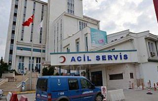 Ordu'da kamyonun çarptığı yaya öldü