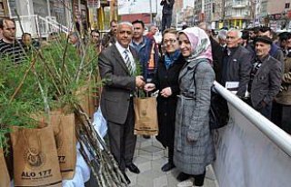 Ormancılık Haftası