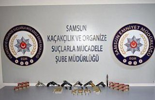 Samsun'da silah kaçakçılığı operasyonu