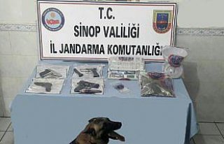 Sinop'ta uyuşturucu ve ruhsatız silah operasyonu