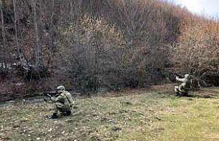 Tokat'ta terör operasyonu