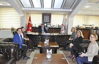 Türk Kadınlar Birliği'nden Başkan Özdemir'e ziyaret