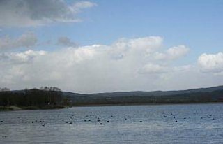 Yeniçağa Gölü'nde av yasağı başladı