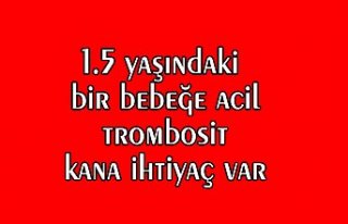 1.5 yaşındaki bir bebeğe acil trombosit kana ihtiyaç...