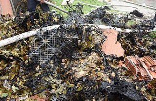 Bartın'da defne yaprağı işleme fabrikasında yangın