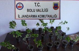Bolu'da kaçakçılık ve uyuşturucu operasyonu